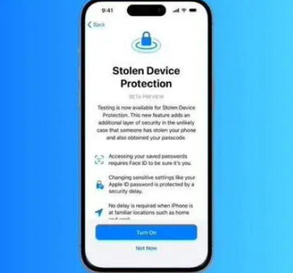 湖口苹果授权维修店分享被盗设备保护功能开启方法 