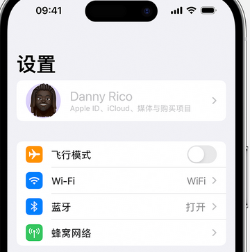 湖口appleID维修服务iPhone设置中Apple ID显示为灰色无法使用