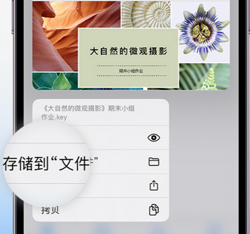 湖口apple维修中心分享iPhone文件应用中存储和找到下载文件