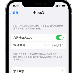 湖口apple服务站点分享iPhone上个人热点丢失了怎么办 