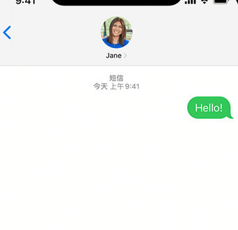 湖口apple维修iPhone上无法正常发送iMessage信息