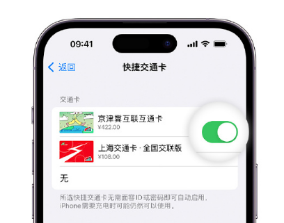 湖口apple维修点分享iPhone上更换Apple Pay快捷交通卡手绘卡面 