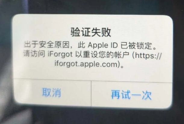 湖口iPhone维修分享iPhone上正常登录或使用AppleID怎么办 