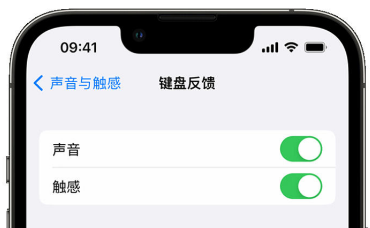 湖口苹果手机维修分享iPhone 14触感键盘使用方法 