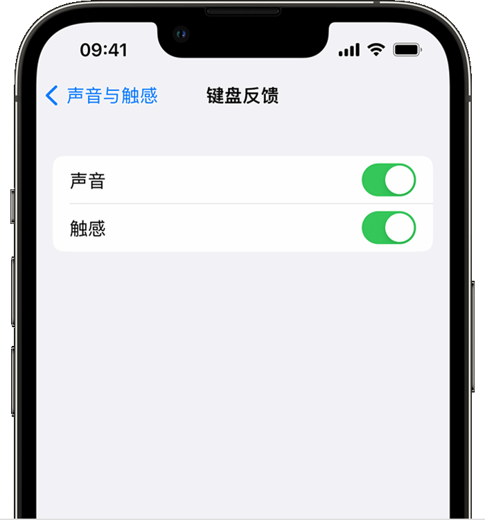 湖口苹果14维修店分享如何在 iPhone 14 机型中使用触感键盘 