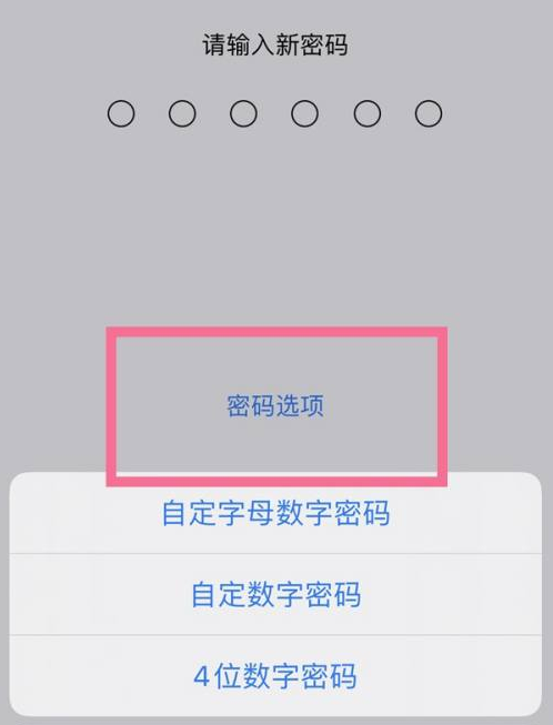 湖口苹果14维修分享iPhone 14plus设置密码的方法 