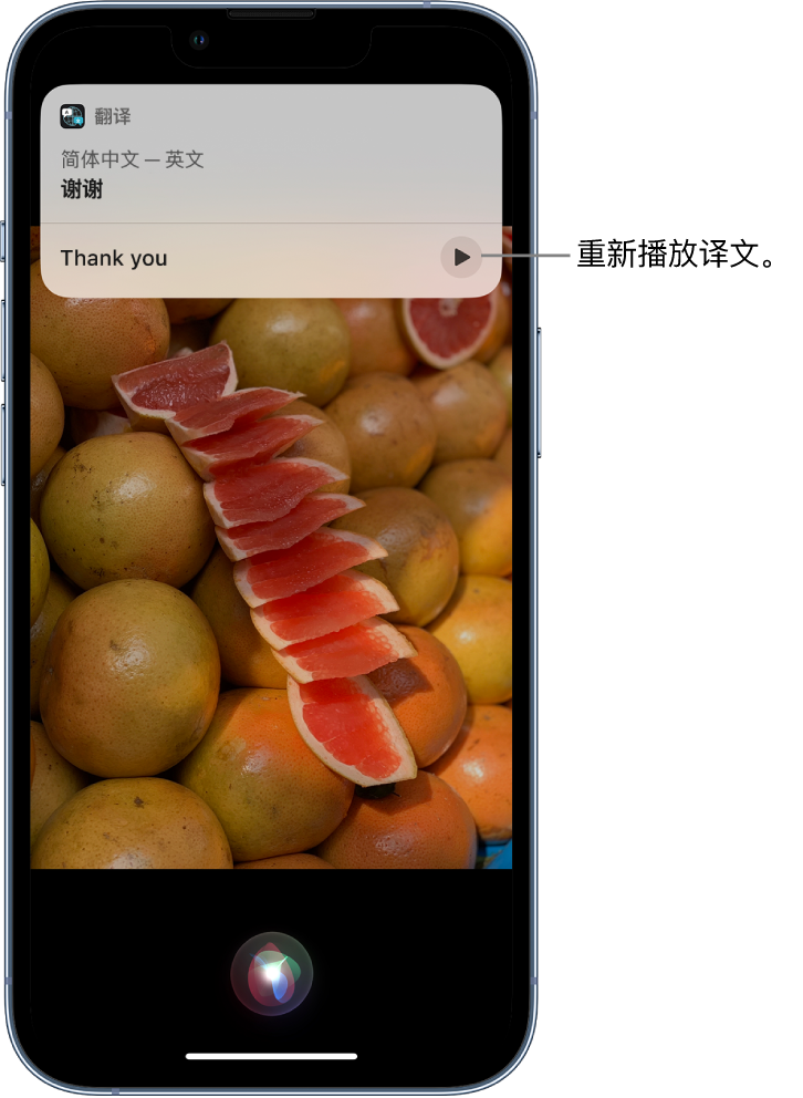 湖口苹果14维修分享 iPhone 14 机型中使用 Siri：了解 Siri 能帮你做什么 