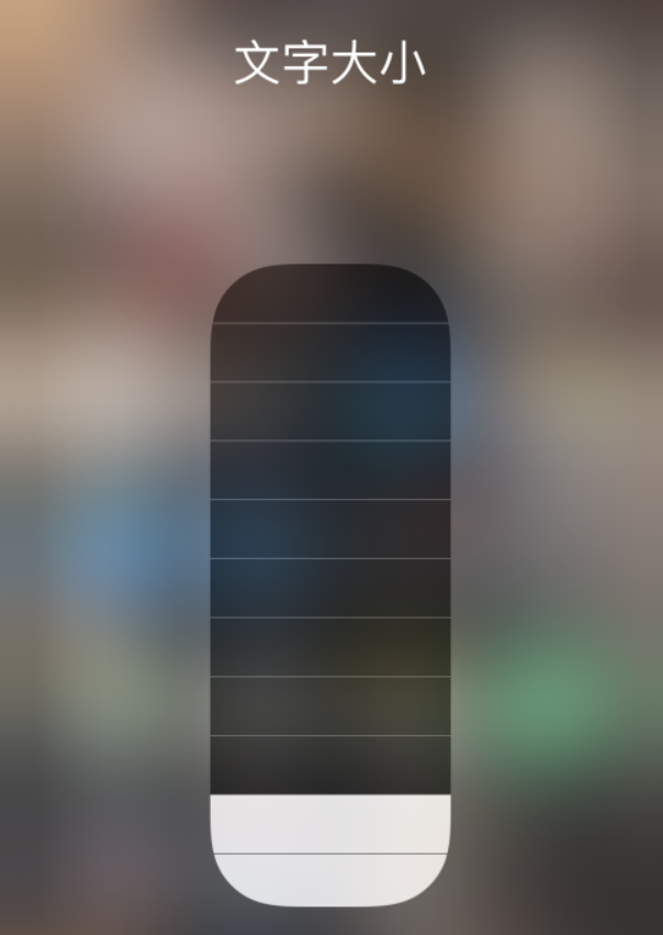 湖口苹果手机维修分享小技巧：在 iPhone 控制中心快速调节字体大小 