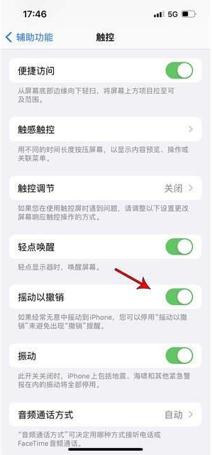 湖口苹果手机维修分享iPhone手机如何设置摇一摇删除文字 